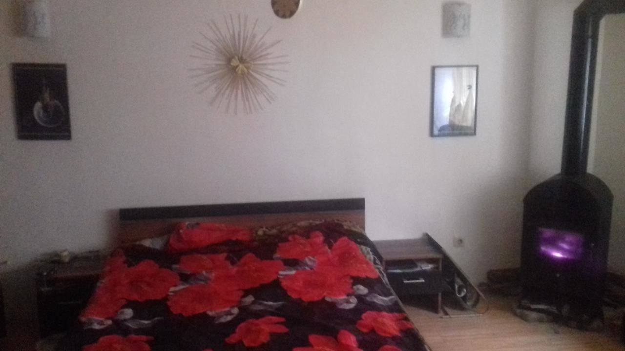 Отели типа «постель и завтрак» Happy Cluj Клуж-Напока-13
